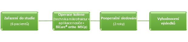 bioi klinická studie grafika fáze 